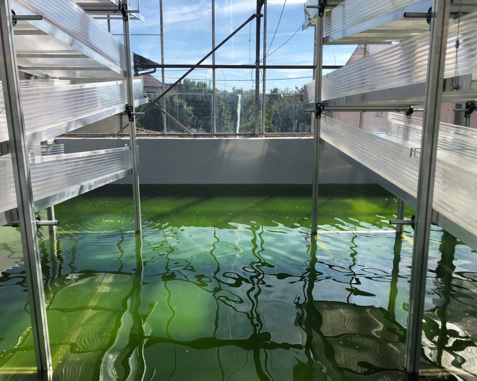 Meet our Partner: Particula Group