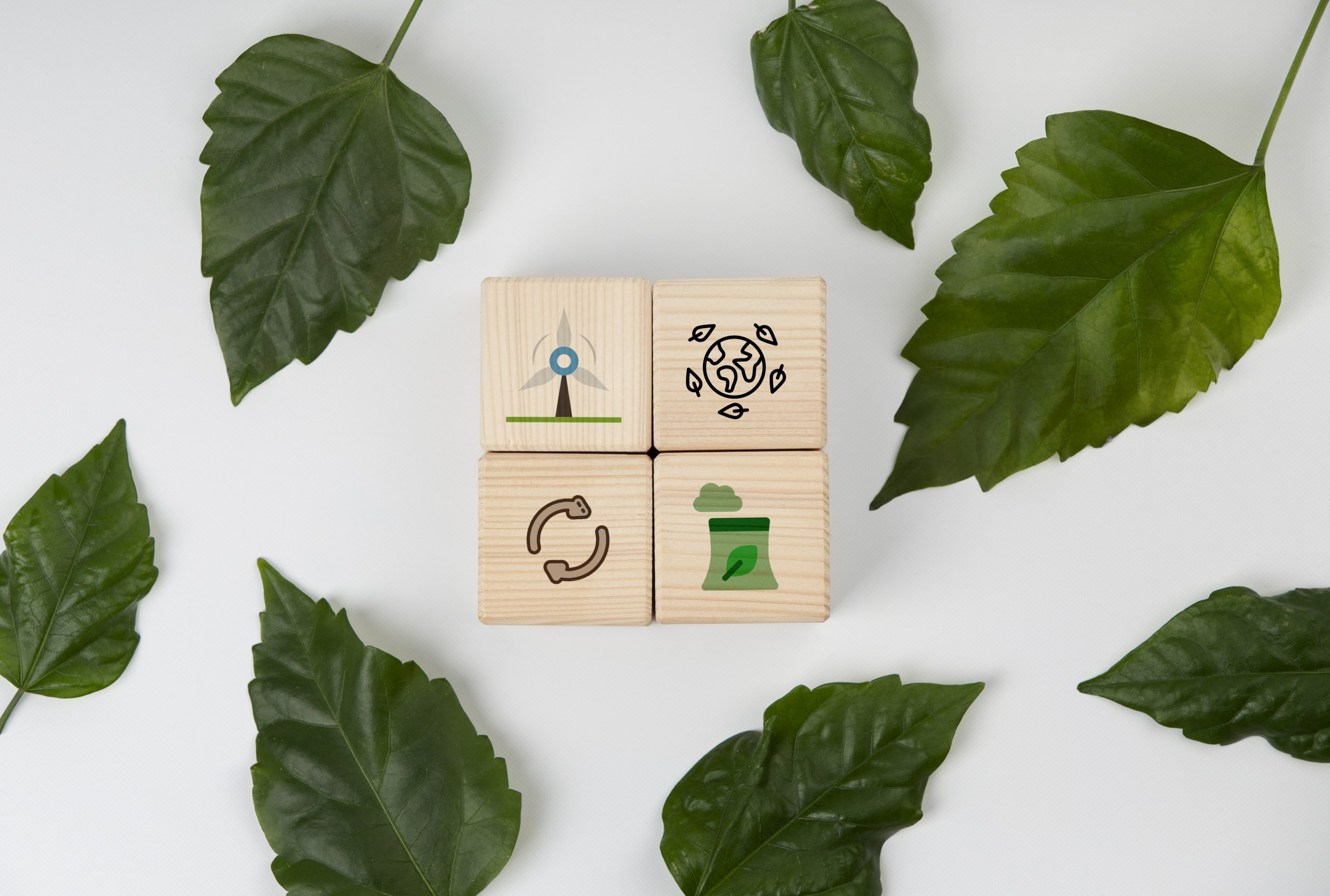 Methods for Safe and Sustainable by Design (SSbD) in INSOIL - Scientific Online Event